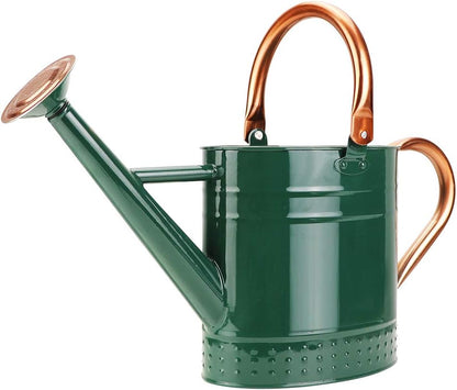 1 Gallon Metal Watering Can with Removable Spout, Nice Galvanized Steel Water Can with Embossed Design for Indoor and Outdoor Plants (Ocean Blue)
