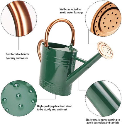 1 Gallon Metal Watering Can with Removable Spout, Nice Galvanized Steel Water Can with Embossed Design for Indoor and Outdoor Plants (Ocean Blue)