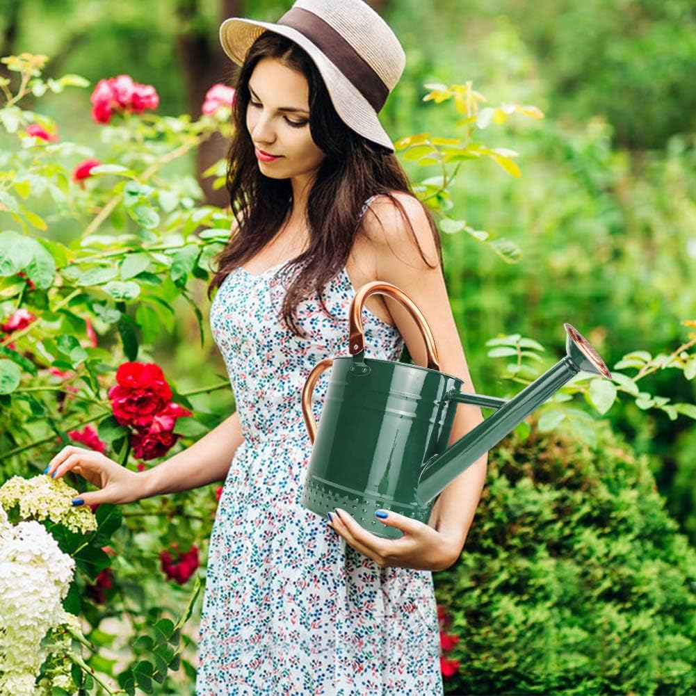 1 Gallon Metal Watering Can with Removable Spout, Nice Galvanized Steel Water Can with Embossed Design for Indoor and Outdoor Plants (Ocean Blue)