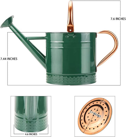 1 Gallon Metal Watering Can with Removable Spout, Nice Galvanized Steel Water Can with Embossed Design for Indoor and Outdoor Plants (Ocean Blue)