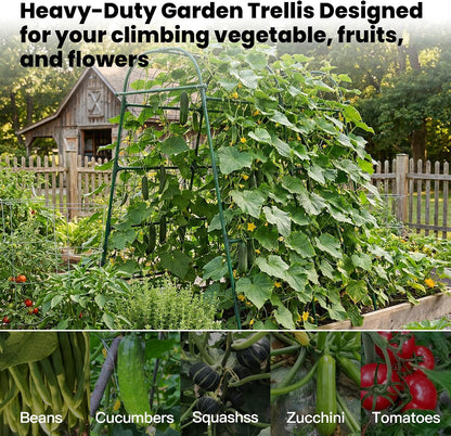 Garden Arch Trellis for Climbing Plants Outdoor, 7 Ft Tall Cucumber Trellis