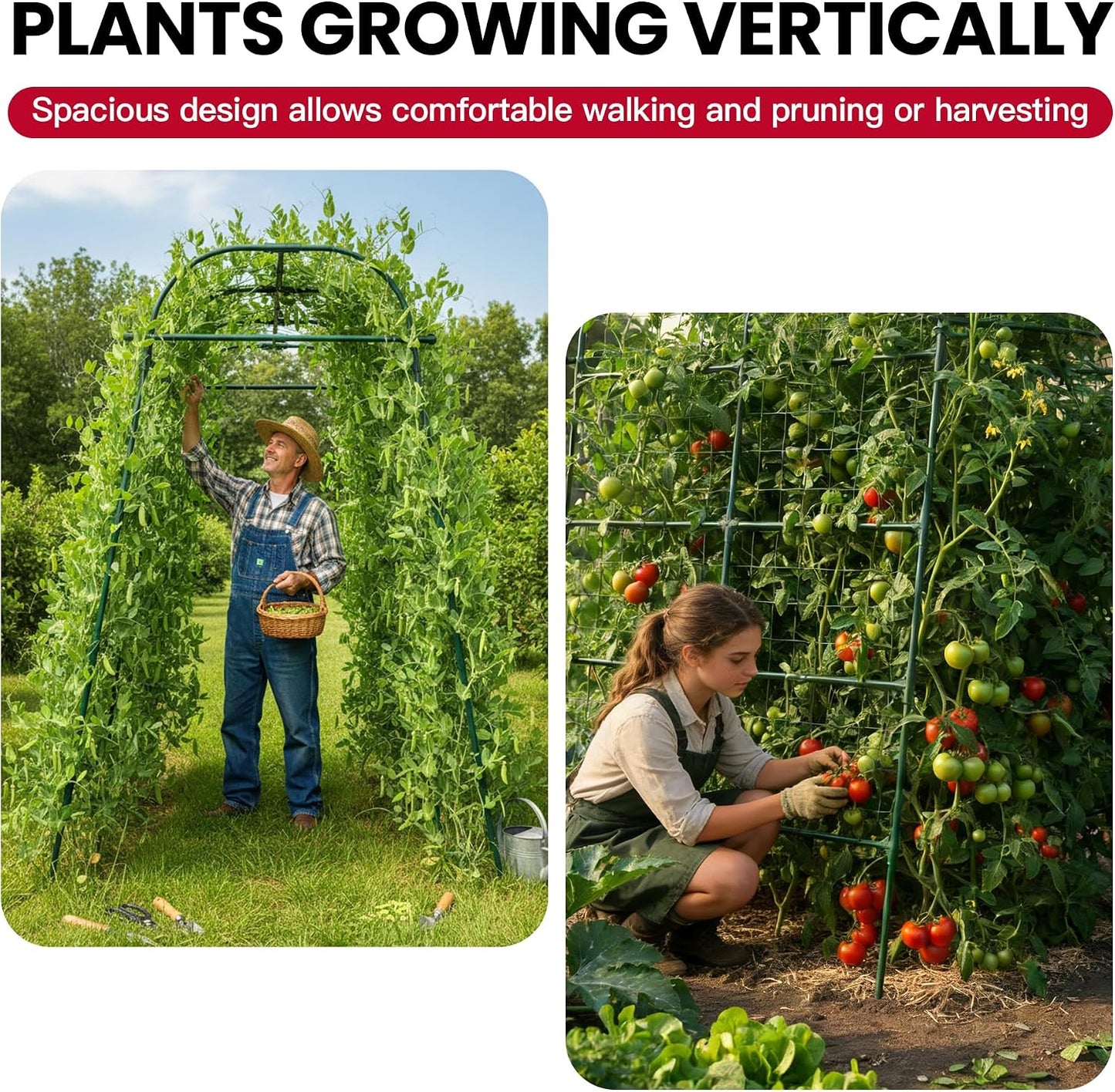 Garden Arch Trellis for Climbing Plants Outdoor, 7 Ft Tall Cucumber Trellis