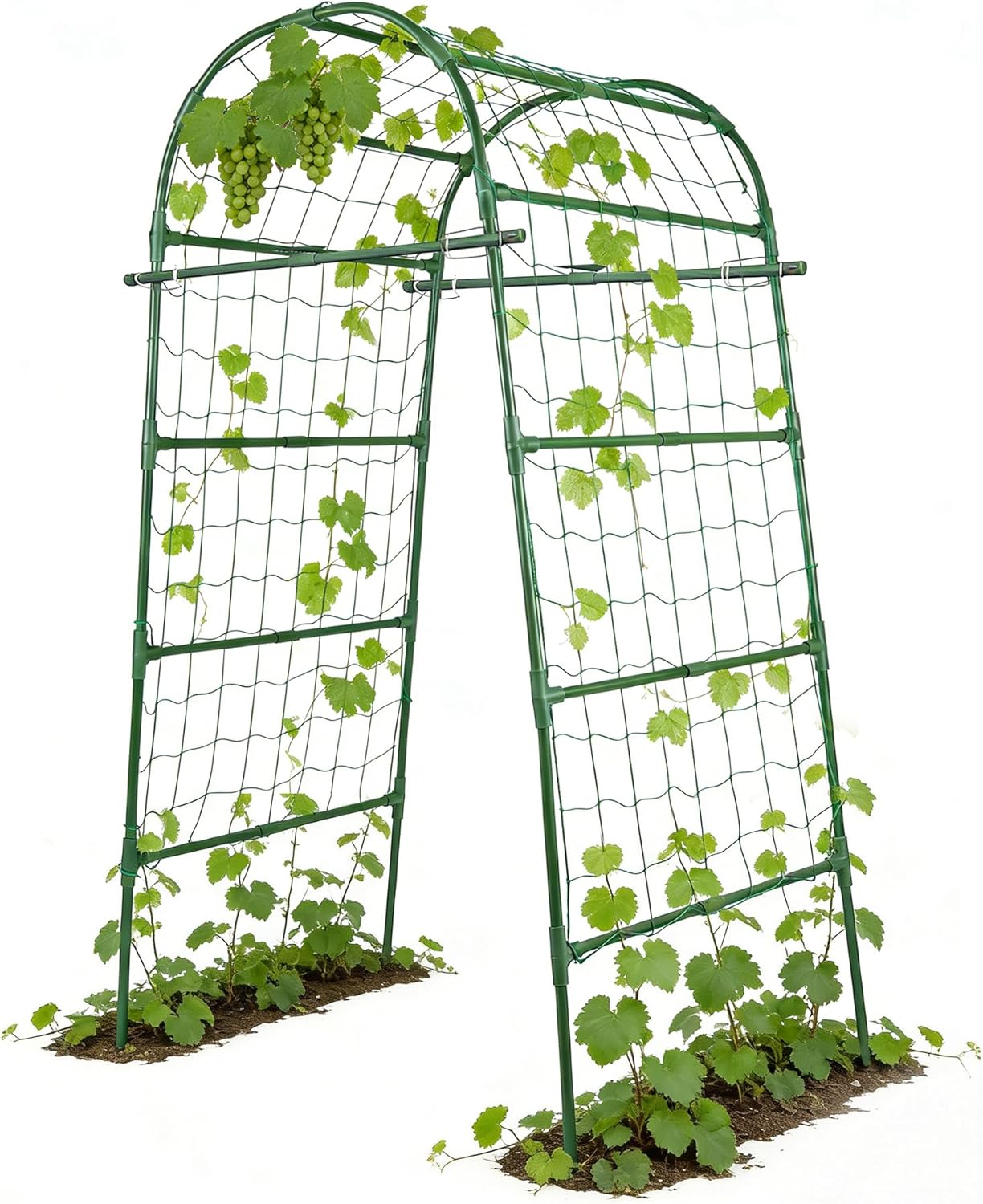 Garden Arch Trellis for Climbing Plants Outdoor, 7 Ft Tall Cucumber Trellis
