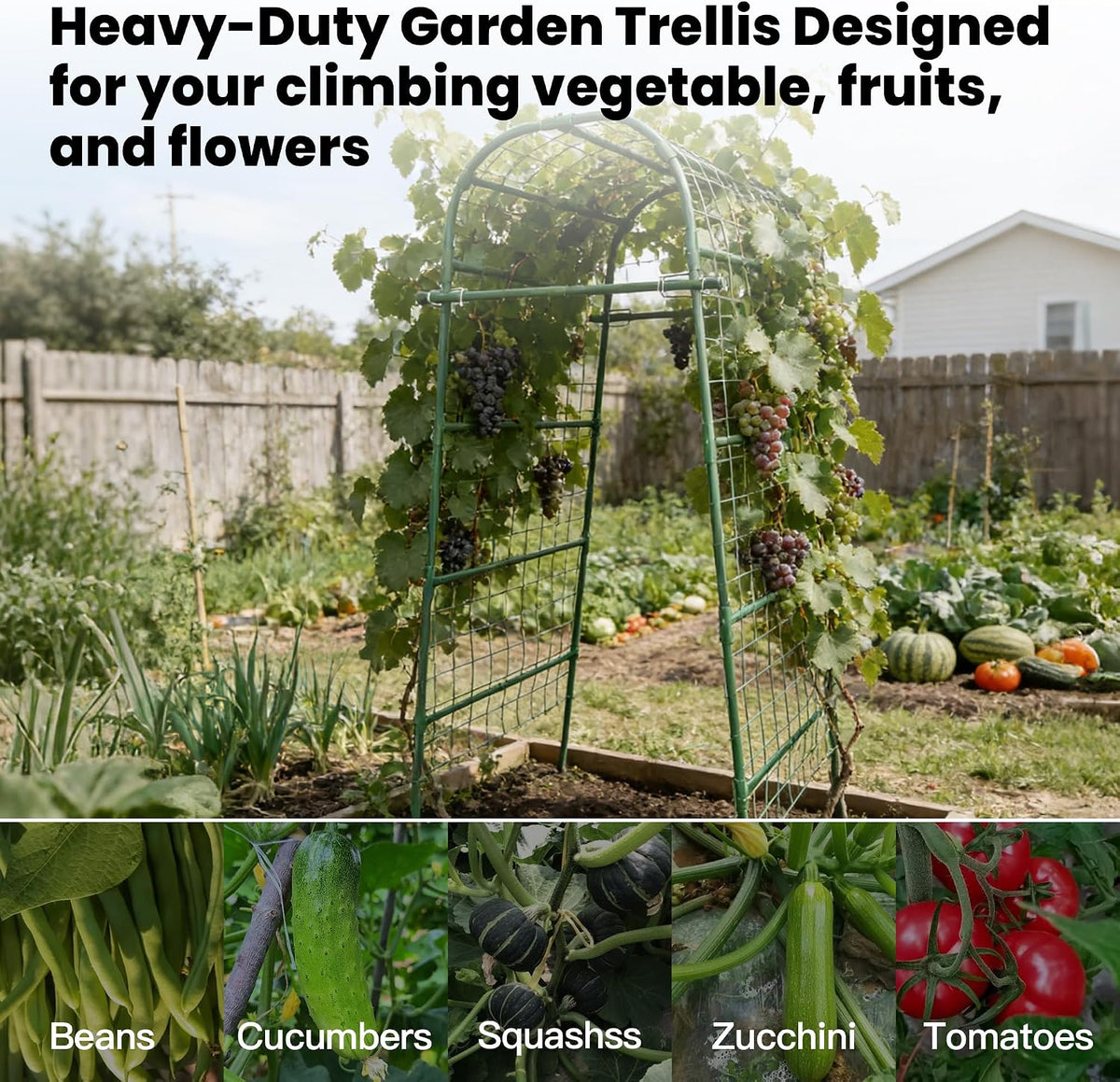 Garden Arch Trellis for Climbing Plants Outdoor, 7 Ft Tall Cucumber Trellis