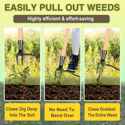 Weed Puller Stand Up Weed Puller Tool with Wooden Long Handle Foot Platform Design 4-Claw Steel Head & Removable 3-Section Pole Garden Tools-Easily Remove Weeds Without Bending or Kneeling