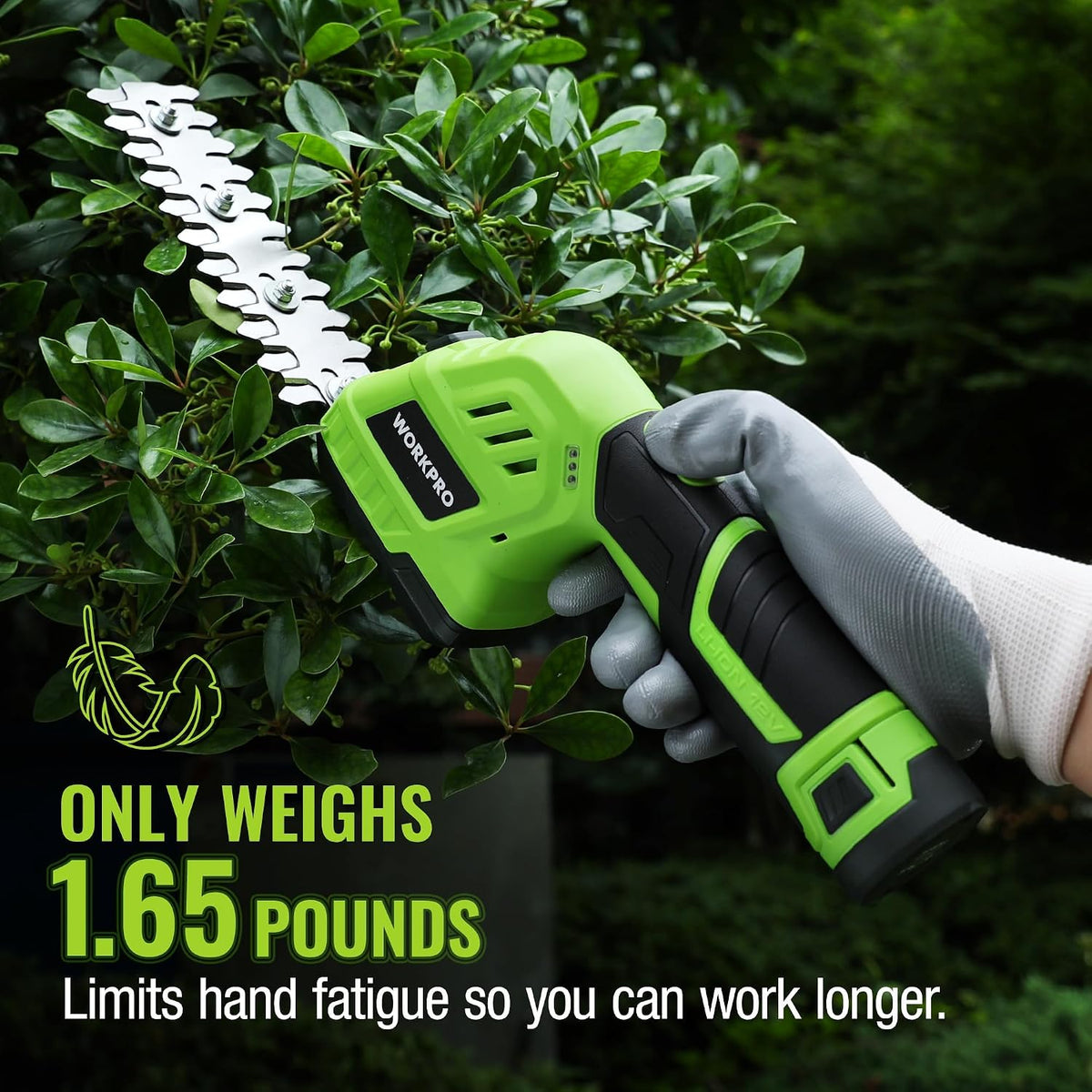 12V Cordless Grass Shear & Shrubbery Trimmer with Battery & Charger