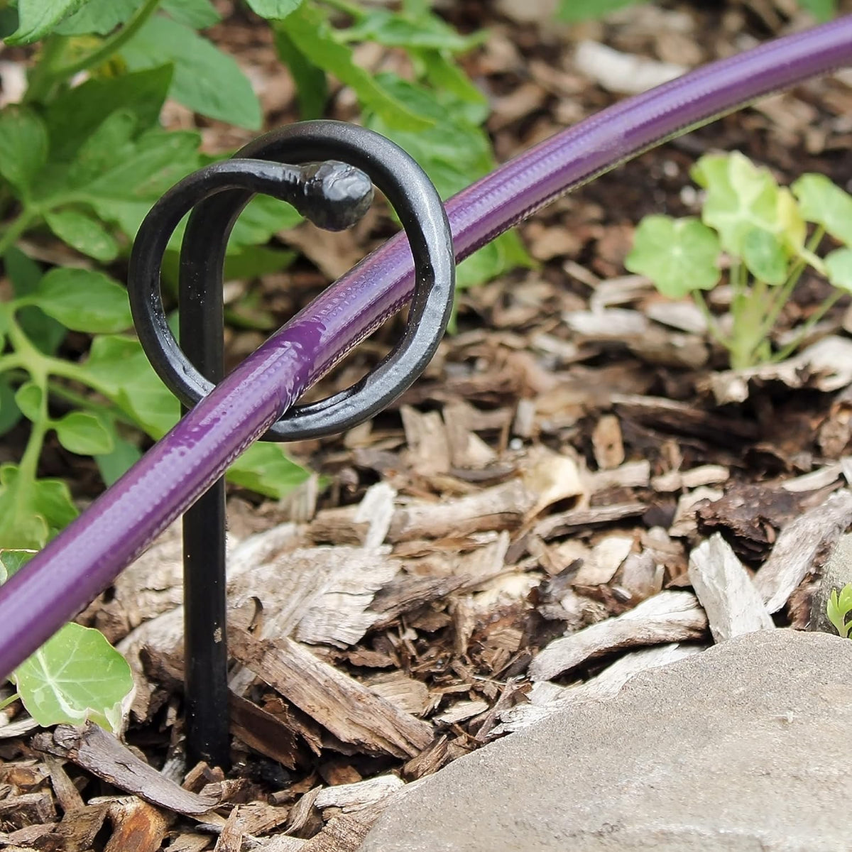 Achla Designs Ball End Hose Guard/Guide 6-Pack