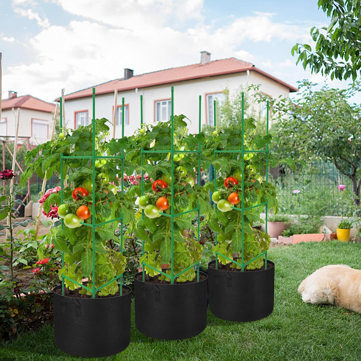 3 Packs 47 x 16 x 16 Inch Garden Tomato Cages with 17 Gallon Grow Bags- Square Plant Support Trellis Assembled with Planter Bags- Garden Cucumber Vegetables Frames for Vertical Climbing Plants