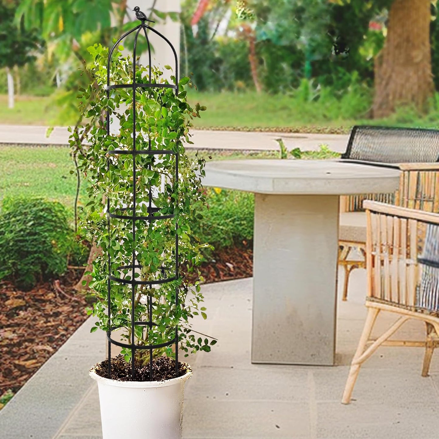 6FT Garden Obelisk Trellis for Climbing Plants,70”Metal Plant Support Tower, Heavy Duty Thickened Tube,Rustproof Black Flower Stand for Vines, Roses, Outdoor & Indoor Use