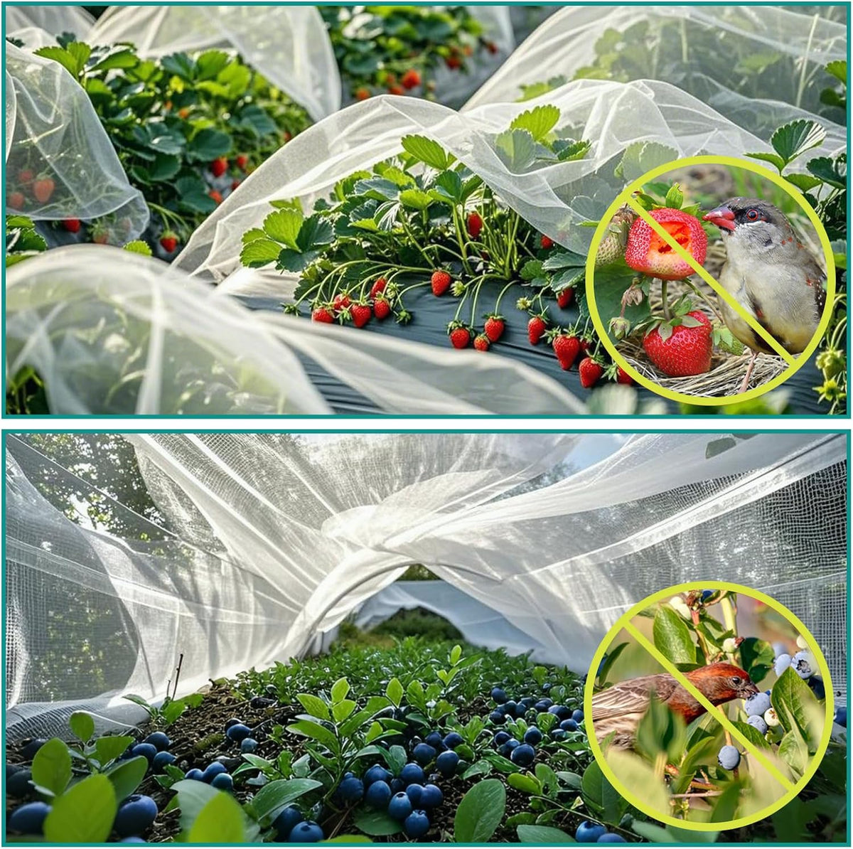 Bird Netting Garden Deer Fence Netting Heavy Duty 5x100 ft