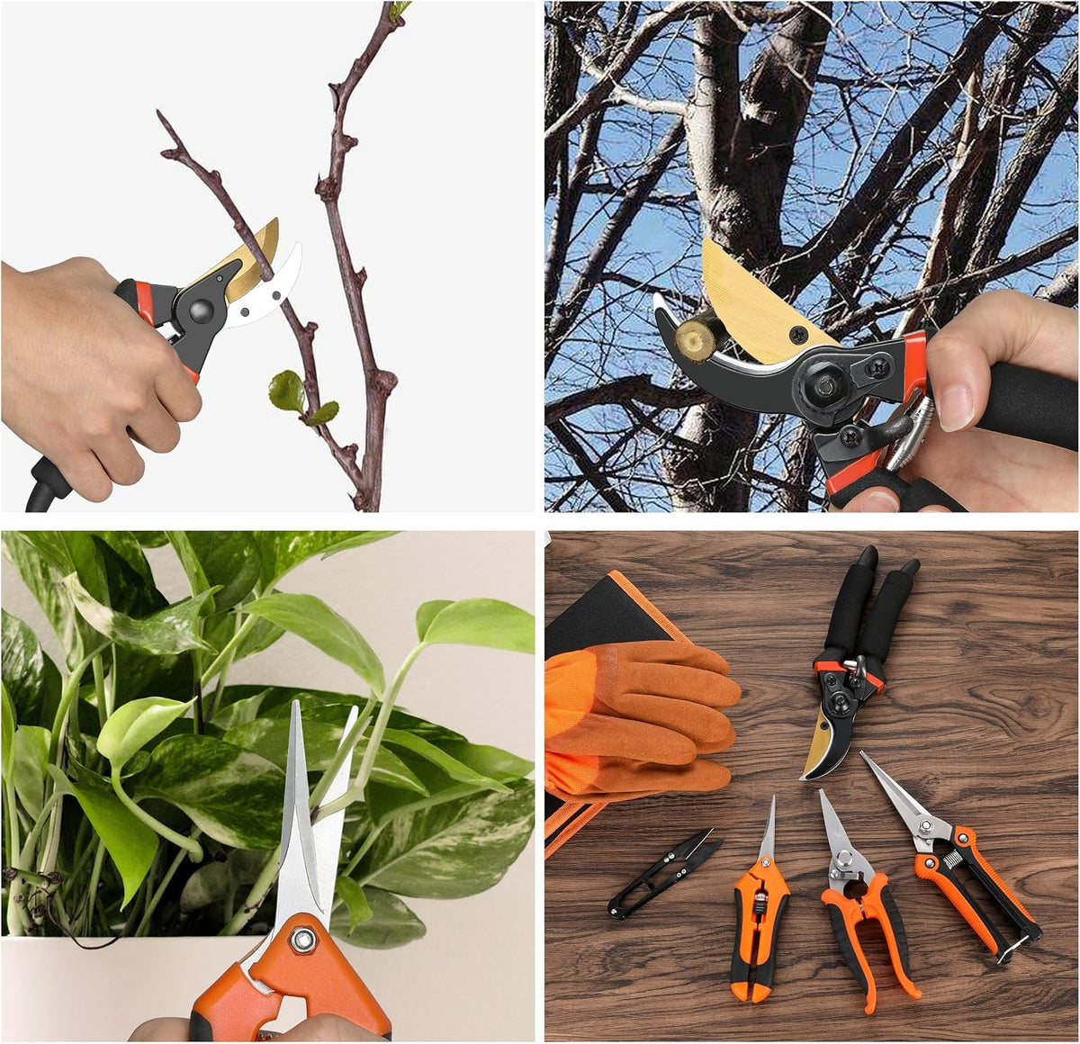 5‑Piece Garden Pruning Shears Set with Gloves & Storage Bag – Stainless Steel Trimming Scissors for Flowers, Herbs & Small Branches – Ergonomic Gardening Tools Kit (Multi-color)