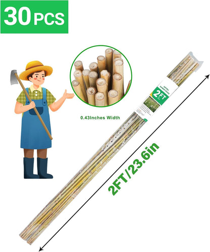 2ft Natural Bamboo Plant Stakes for Tomatoes, Beans, Flowers, Potted, Climbing Plants 30pcs