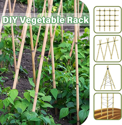 2ft Natural Bamboo Plant Stakes for Tomatoes, Beans, Flowers, Potted, Climbing Plants 30pcs