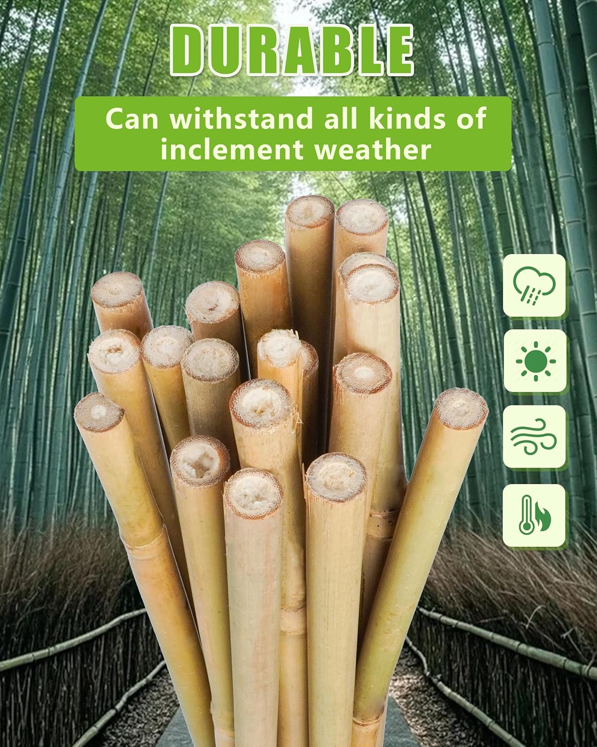 2ft Natural Bamboo Plant Stakes for Tomatoes, Beans, Flowers, Potted, Climbing Plants 30pcs