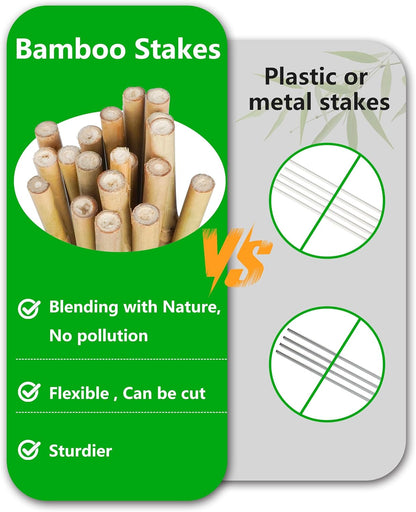 2ft Natural Bamboo Plant Stakes for Tomatoes, Beans, Flowers, Potted, Climbing Plants 30pcs
