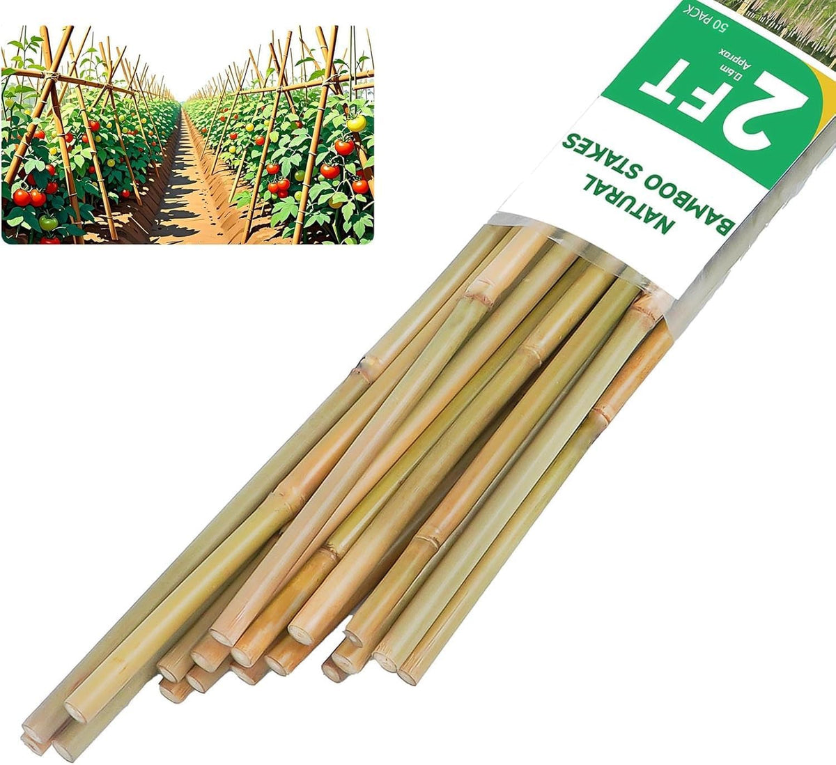 2ft Natural Bamboo Plant Stakes for Tomatoes, Beans, Flowers, Potted, Climbing Plants 30pcs