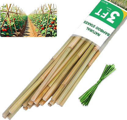2ft Natural Bamboo Plant Stakes for Tomatoes, Beans, Flowers, Potted, Climbing Plants 30pcs