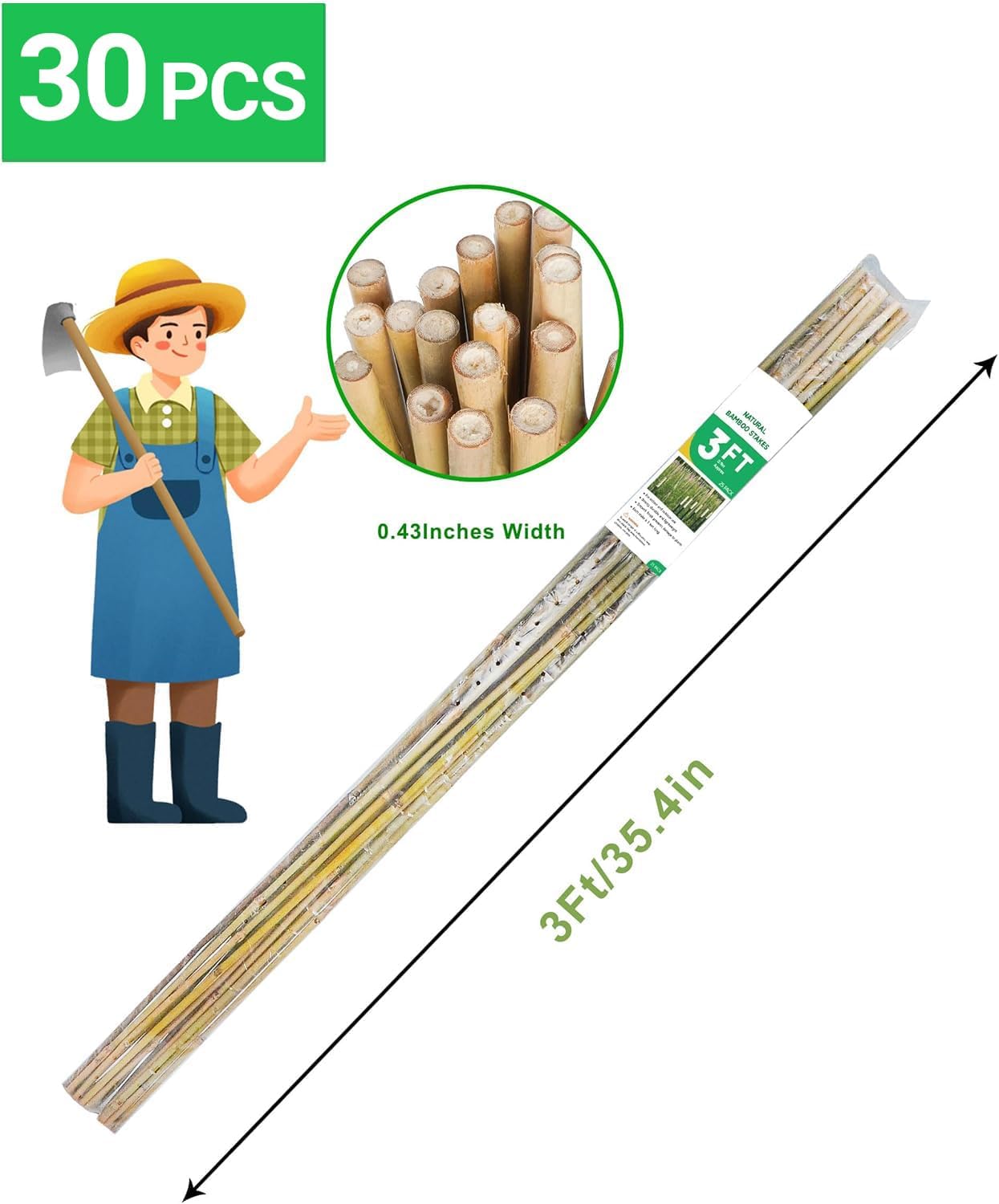 2ft Natural Bamboo Plant Stakes for Tomatoes, Beans, Flowers, Potted, Climbing Plants 30pcs