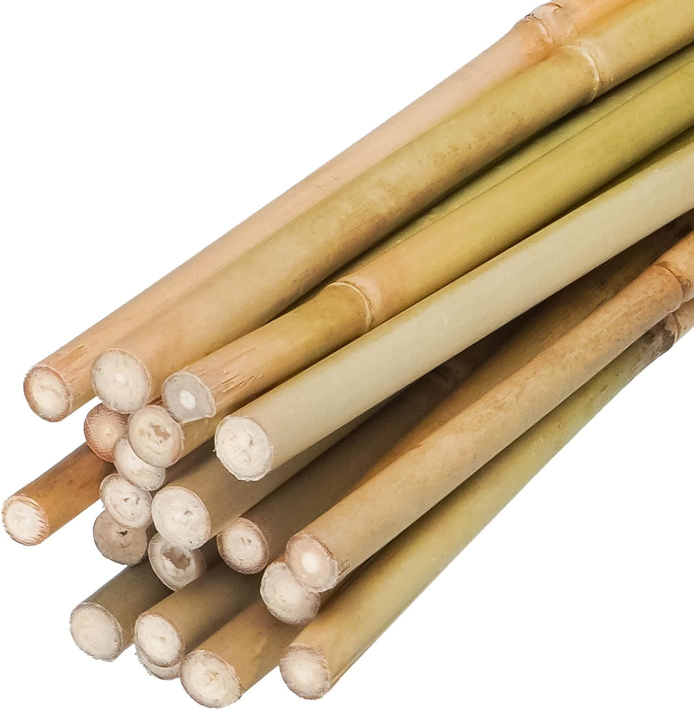 2ft Natural Bamboo Plant Stakes for Tomatoes, Beans, Flowers, Potted, Climbing Plants 30pcs