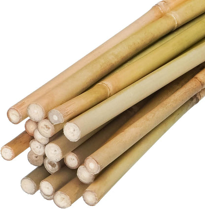 2ft Natural Bamboo Plant Stakes for Tomatoes, Beans, Flowers, Potted, Climbing Plants 30pcs