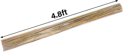 2ft Natural Bamboo Plant Stakes for Tomatoes, Beans, Flowers, Potted, Climbing Plants 30pcs