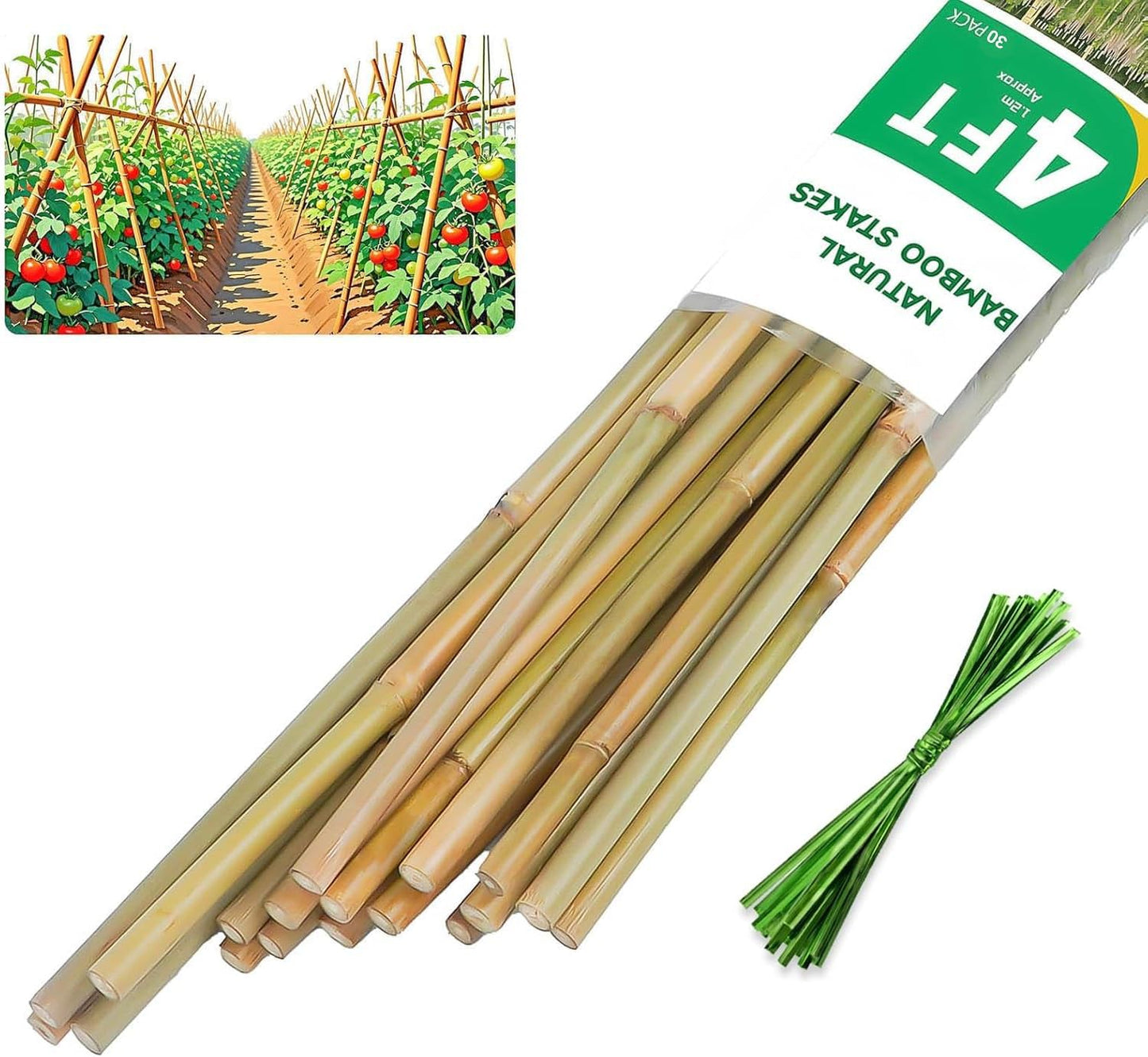 2ft Natural Bamboo Plant Stakes for Tomatoes, Beans, Flowers, Potted, Climbing Plants 30pcs