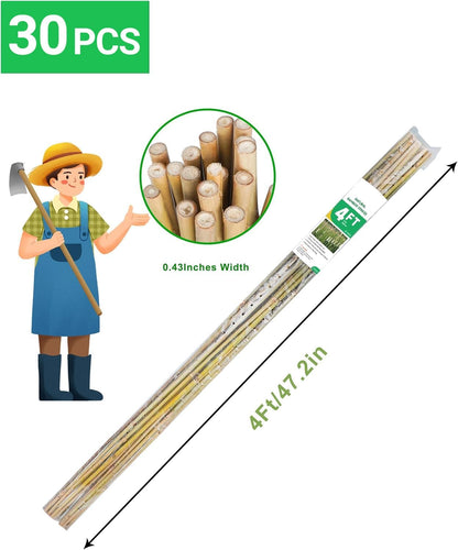 2ft Natural Bamboo Plant Stakes for Tomatoes, Beans, Flowers, Potted, Climbing Plants 30pcs
