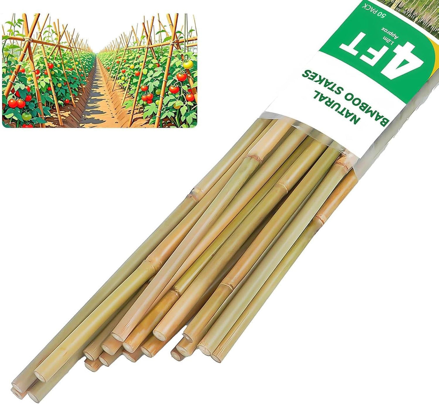 2ft Natural Bamboo Plant Stakes for Tomatoes, Beans, Flowers, Potted, Climbing Plants 30pcs