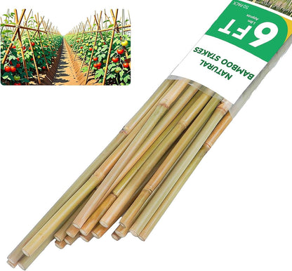 2ft Natural Bamboo Plant Stakes for Tomatoes, Beans, Flowers, Potted, Climbing Plants 30pcs