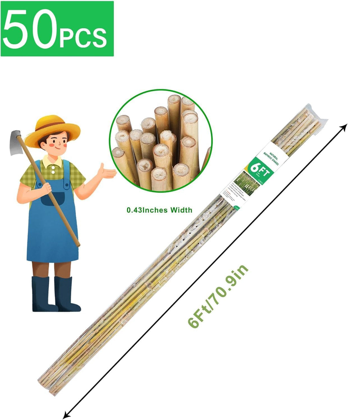 2ft Natural Bamboo Plant Stakes for Tomatoes, Beans, Flowers, Potted, Climbing Plants 30pcs