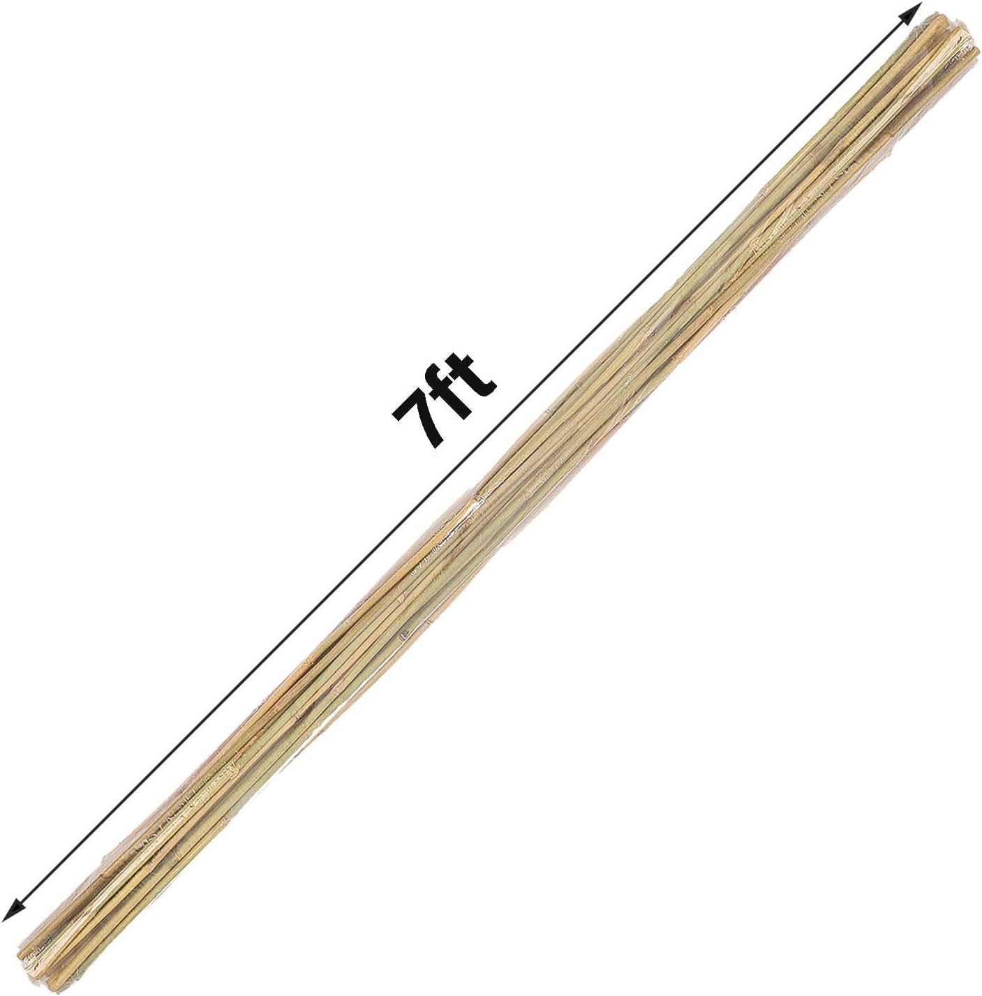 2ft Natural Bamboo Plant Stakes for Tomatoes, Beans, Flowers, Potted, Climbing Plants 30pcs