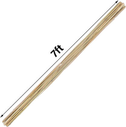 2ft Natural Bamboo Plant Stakes for Tomatoes, Beans, Flowers, Potted, Climbing Plants 30pcs