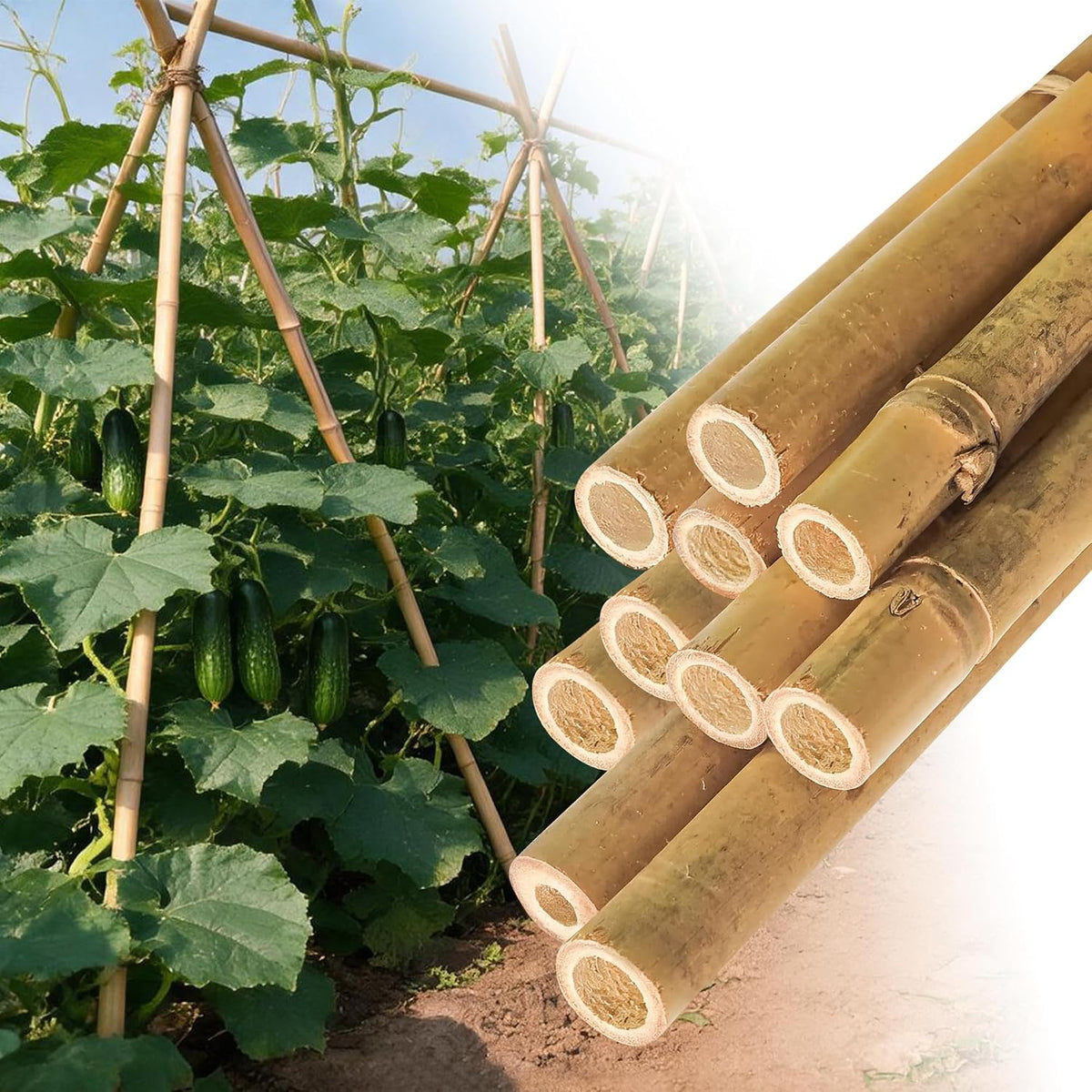 2ft Natural Bamboo Plant Stakes for Tomatoes, Beans, Flowers, Potted, Climbing Plants 30pcs