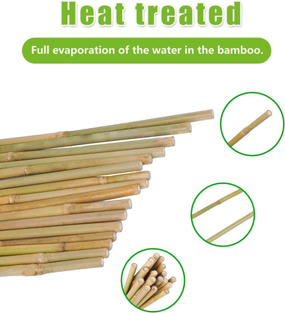 2ft Natural Bamboo Plant Stakes for Tomatoes, Beans, Flowers, Potted, Climbing Plants 30pcs
