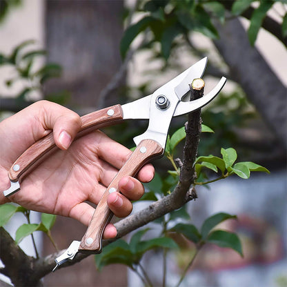 Wood Handle Pruning Shears, SK-5 Steel Blade, 1-inch Cutting Capacity, Sharp, Well Designed Garden Shears, 8"