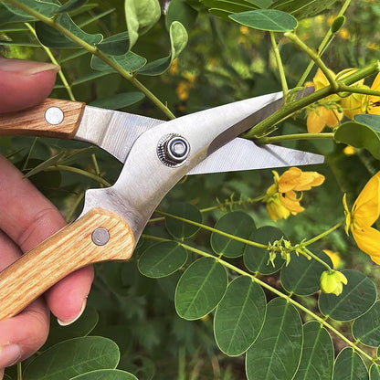 Wood Handle Pruning Shears, SK-5 Steel Blade, 1-inch Cutting Capacity, Sharp, Well Designed Garden Shears, 8"