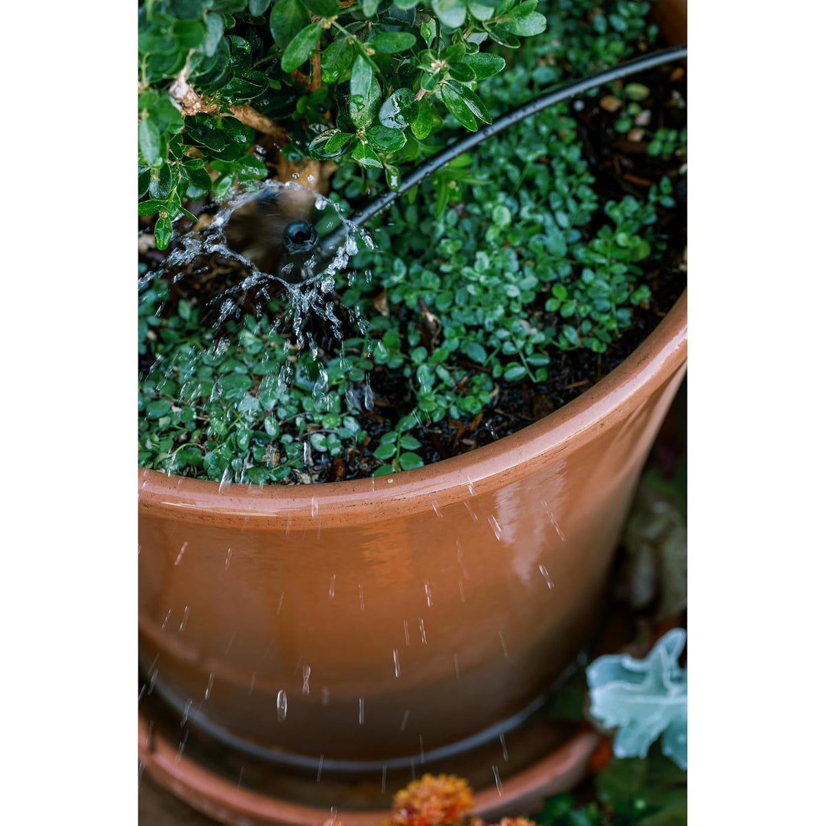 56309 Planter Drip Irrigation Kit - 30ft Complete Watering System with Adjustable Micro-Bubblers for Container Gardens