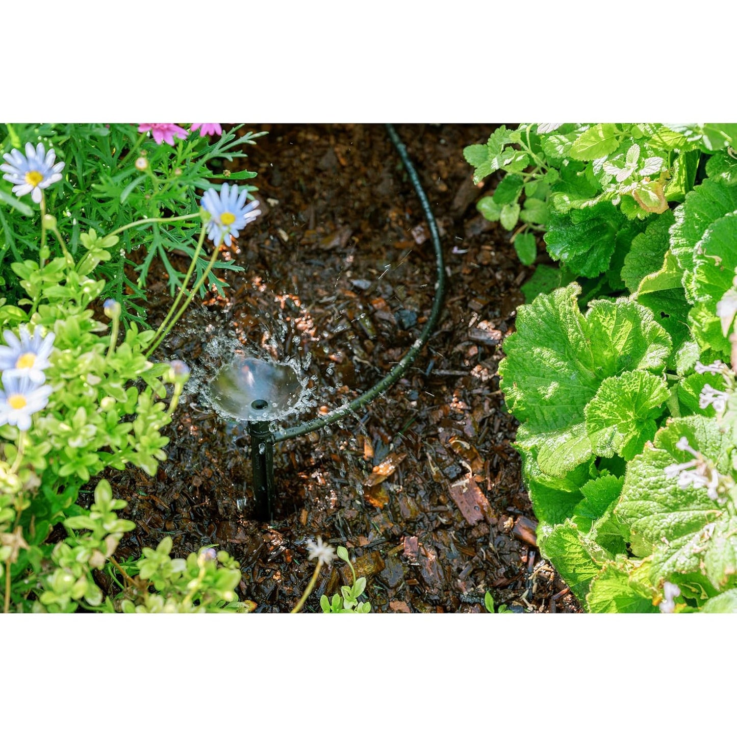 56309 Planter Drip Irrigation Kit - 30ft Complete Watering System with Adjustable Micro-Bubblers for Container Gardens