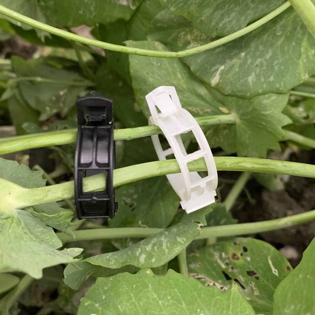 100 Pcs Garden Plant Support Clips, Tomato Clips, Plant Ties, Trellis Clips, Tomato Vine Vegetables Plants Trellis Clips to Grow Upright Makes Plants Healthier (Black)