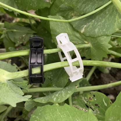100 Pcs Garden Plant Support Clips, Tomato Clips, Plant Ties, Trellis Clips, Tomato Vine Vegetables Plants Trellis Clips to Grow Upright Makes Plants Healthier (Black)