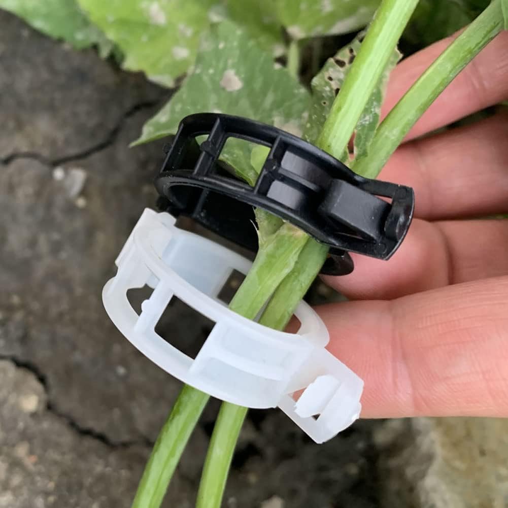 100 Pcs Garden Plant Support Clips, Tomato Clips, Plant Ties, Trellis Clips, Tomato Vine Vegetables Plants Trellis Clips to Grow Upright Makes Plants Healthier (Black)
