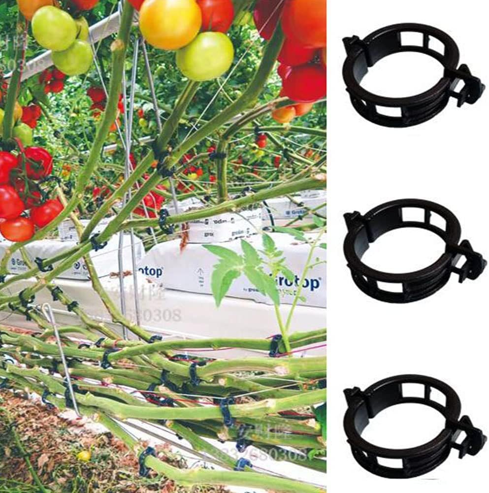 100 Pcs Garden Plant Support Clips, Tomato Clips, Plant Ties, Trellis Clips, Tomato Vine Vegetables Plants Trellis Clips to Grow Upright Makes Plants Healthier (Black)