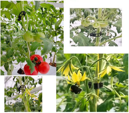 100 Pcs Garden Plant Support Clips, Tomato Clips, Plant Ties, Trellis Clips, Tomato Vine Vegetables Plants Trellis Clips to Grow Upright Makes Plants Healthier (Black)