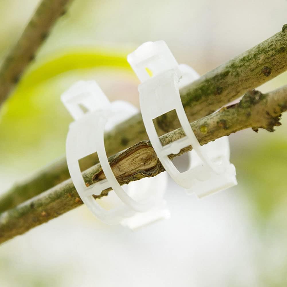 100 Pcs Garden Plant Support Clips, Tomato Clips, Plant Ties, Trellis Clips, Tomato Vine Vegetables Plants Trellis Clips to Grow Upright Makes Plants Healthier (Black)