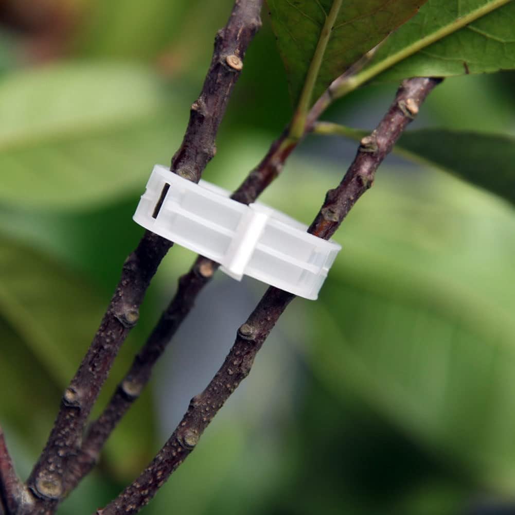 100 Pcs Garden Plant Support Clips, Tomato Clips, Plant Ties, Trellis Clips, Tomato Vine Vegetables Plants Trellis Clips to Grow Upright Makes Plants Healthier (Black)