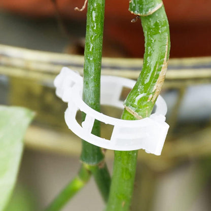 100 Pcs Garden Plant Support Clips, Tomato Clips, Plant Ties, Trellis Clips, Tomato Vine Vegetables Plants Trellis Clips to Grow Upright Makes Plants Healthier (Black)
