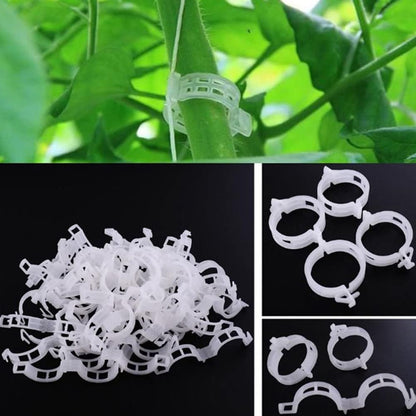 100 Pcs Garden Plant Support Clips, Tomato Clips, Plant Ties, Trellis Clips, Tomato Vine Vegetables Plants Trellis Clips to Grow Upright Makes Plants Healthier (Black)