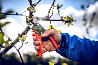 10 Professional Anvil Pruning Shears 10.107 with Bypass Geometry - Innovative Sharp Shears with Ergonomic Handles and Non-Stick Steel Blade for Pruning Work in Orcharding