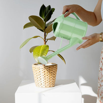 1.5 Gallon Long Spout Watering Can Large Garden Watering Can Indoor Outdoor Flower Sprayer with Ergonomic Handle for Plants, Balcony, Yard, Greenhouse & Home Gardening (Green)