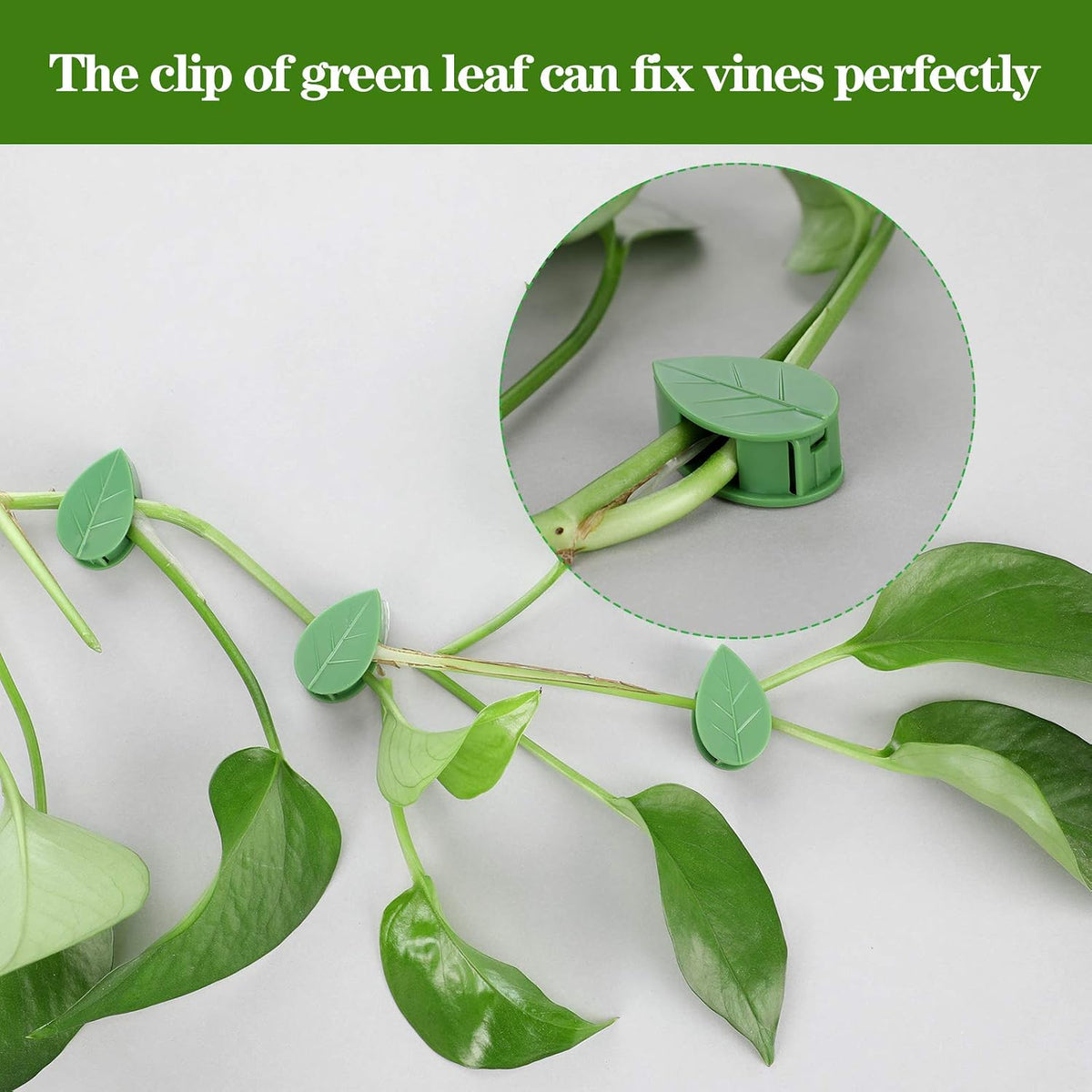 60 Plant Climbing Clips Wall Fixture with 72 Stickers for Vine